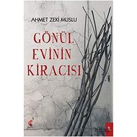 Toprak Duman ve Kedi - Güler Kalem - Klaros Yayınları