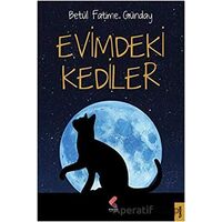 Evimdeki Kediler - Betül Fatime Günday - Klaros Yayınları