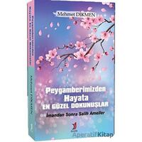 Peygamberimizden Hayata En Güzel Dokunuşlar - Mehmet Dikmen - Demlik Yayınları