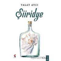 Şiiridye - Talat Avcı - Klaros Yayınları