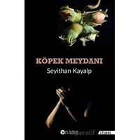 Köpek Meydanı - Seyithan Kayalp - Name Yayınları
