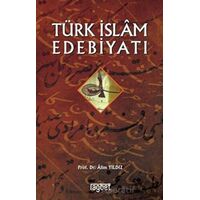 Türk İslam Edebiyatı - Alim Yıldız - Rağbet Yayınları