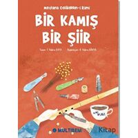 Bir Kamış Bir Şiir - F. Kübra Kaya - Multibem Yayınları