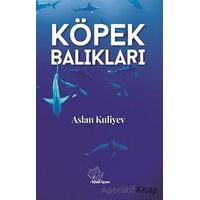 Köpek Balıkları - Aslan Kuliyev - Asmaaltı Yayınevi