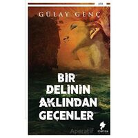 Bir Delinin Aklından Geçenler - Gülay Genç - Morena Yayınevi