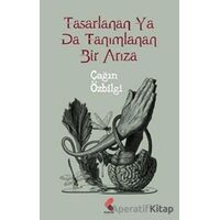 Tasarlanan Ya Da Tanımlanan Bir Arıza - Çağın Özbilgi - Klaros Yayınları