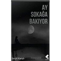 Ay Sokağa Bakıyor - Serpil Karışlı - Klaros Yayınları