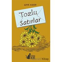 Tozlu Satırlar - Gaye Asker - BB Kitap