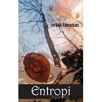 Entropi - Serkan Yılmazkurt - Luna Yayınları