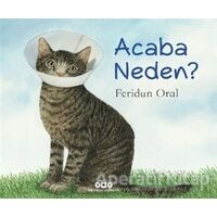 Acaba Neden? - Feridun Oral - Yapı Kredi Yayınları