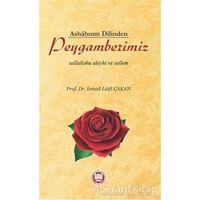 Peygamberimiz - İsmail Lütfi Çakan - Marmara Üniversitesi İlahiyat Fakültesi Vakfı