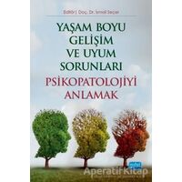 Yaşam Boyu Gelişim ve Uyum Sorunları Psikopatolojiyi Anlamak