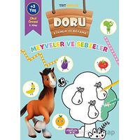 Doru Etkinlik ve Boyama – Meyveler ve Sebzeler - Kolektif - Yediveren Çocuk