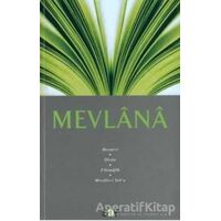 Mevlana - Mevlana Celaleddin Rumi - Say Yayınları