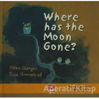 Where Has The Moon Gone ? - Reza Hemmatirad - UMP Yayınları