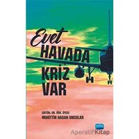 Evet Havada Kriz Var - Oğuzcan Yerli - Nobel Akademik Yayıncılık
