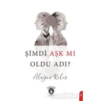 Şimdi Aşk mı Oldu Adı? - Aleyna Kılıç - Dorlion Yayınları