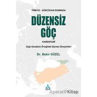 Türkiye - Gürcistan Sınırında Düzensiz Göç Hareketleri: Doğu Karadeniz Örneğinde Göçmen Deneyimleri