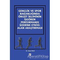Gençlik ve Spor Bakanlığında Örgüt İkliminin İşgören Performansı Üzerine Etkisi: Alan Araştırması