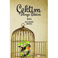 Çektim Dünya Çilesini - Davut Bülbül - Berikan Yayınevi