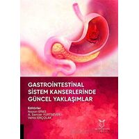 Gastrointestinal Sistem Kanserlerinde Güncel Yaklaşımlar - Vehbi Erçolak - Akademisyen Kitabevi