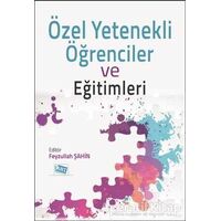 Özel Yetenekli Öğrenciler ve Eğitimleri - Feyzullah Şahin - Anı Yayıncılık