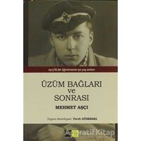 Üzüm Bağları ve Sonrası - Mehmet Aşçı - Sinopsis Yayınları