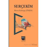 Serçekim - Bircan Kırlangıç Şimşek - Somut Yayınları