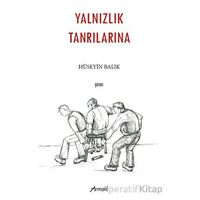 Yalnızlık Tanrılarına - Hüseyin Balık - Armoni Yayıncılık