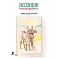 Bozbıdık - Özgün Bir Eşek Destanı - Erol Büyükmeriç - Boyalıkuş Çocuk