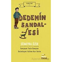 Felsefe Fikri 1 / Dedemin Sandalyesi - Sümeyra Üzer - Mecaz Çocuk