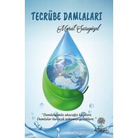 Tecrübe Damlaları - Murat Sarıgüzel - Platanus Publishing