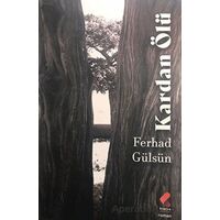 Kardan Ölü - Ferhad Gülsün - Klaros Yayınları