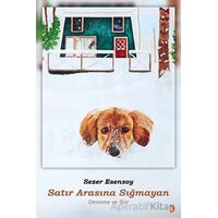 Satır Arasına Sığmayan - Sezer Esensoy - Cinius Yayınları