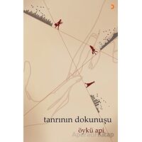 Tanrının Dokunuşu - Öykü Api - Cinius Yayınları