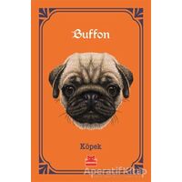 Köpek - Georges-Louis Leclerc Comte de Buffon - Kırmızı Kedi Yayınevi
