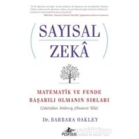 Sayısal Zeka: Matematik ve Fende Başarılı Olmanın Sırları (Cebirden Kalmış Olsanız Bile)