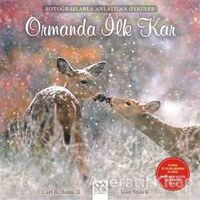 Ormanda İlk Kar - Carl R. Sams II - 1001 Çiçek Kitaplar