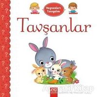Hayvanları Tanıyalım - Tavşanlar - Emilie Belineau - 1001 Çiçek Kitaplar