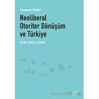 Neoliberal Otoriter Dönüşüm ve Türkiye - Yasemin Özdek - Nota Bene Yayınları
