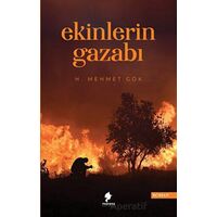 Ekinlerin Gazabı - Hacı Mehmet Gök - Morena Yayınevi
