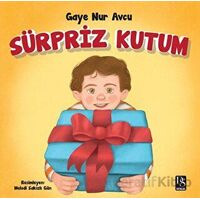 Sürpriz Kutum - Gaye Nur Avcu - DS Yayınları