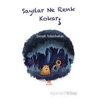 Sayılar Ne Renk Kokar - İsmail Aslanhatun - İki Eylül Yayınevi