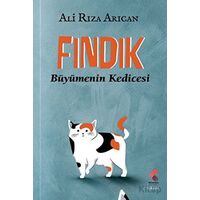 Fındık - Büyümenin Kedicesi - Ali Rıza Arıcan - Klaros Yayınları