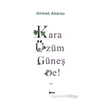 Kara Üzüm Güneş De - Ahmet Akarsu - Şule Yayınları