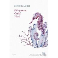 Dünyanın Öteki Yüzü - Meltem Dağcı - İthaki Yayınları