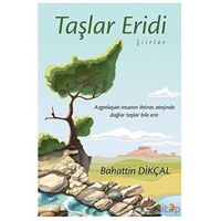 Taşlar Eridi - Bahattin Dikçal - Cinius Yayınları