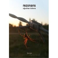 Rezonans - Oğuzhan Özbora - İkinci Adam Yayınları