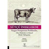 Sütçü İneklerde Yaygın Postpartum Problemler, Olası Nedenleri ve Güncel Klinik Yaklaşımlar