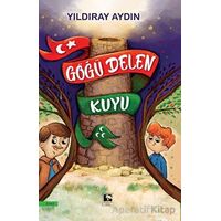 Göğü Delen Kuyu - Yıldıray Aydın - Çınaraltı Yayınları